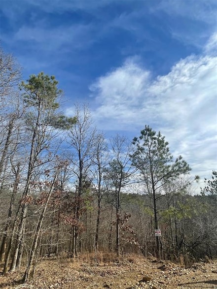 725 Timber Creek Trails South Xl, Broken Bow, OK 74728