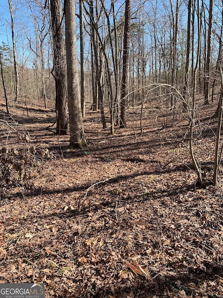 1986 Jones Mountain Rd, Jasper, GA 30175