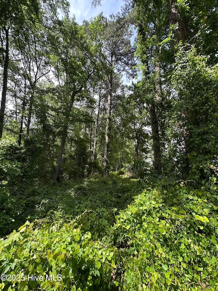 403 Longwood Dr, Pinetops, NC 27864