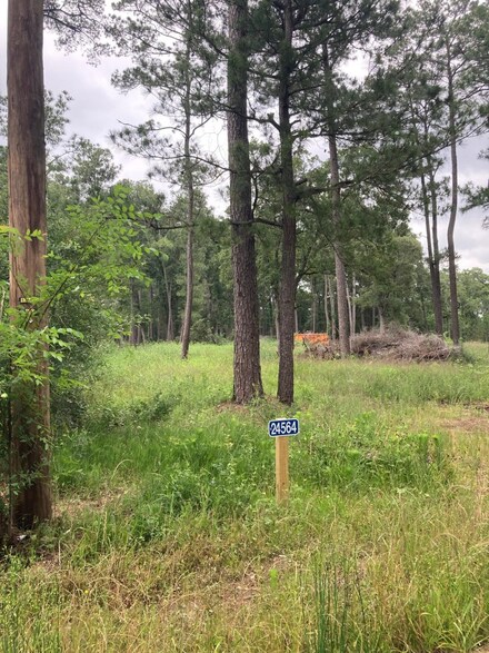 24564-24568 Riley Rd, Todd Mission, TX 77363