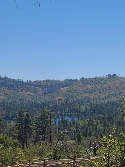 0 Hog Ranch Rd Unit 224097823, Oroville, CA 95965