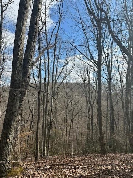 0 12 57+ -Acres State Hwy 111, Spencer, TN 38585