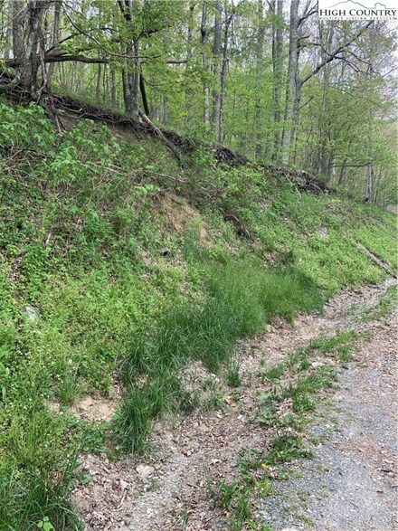 Lot 43 Cliff Dwellers Ln, Seven Devils, NC 28604