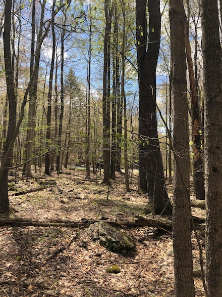 0 Fala Ct, Coolbaugh Township, PA 18347