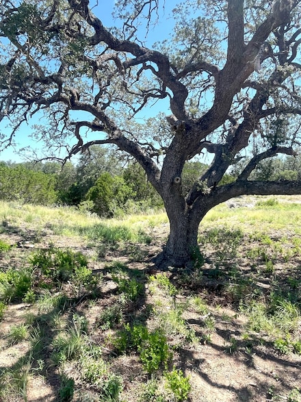 613 Oriole Rd, Camp Wood, TX 78833