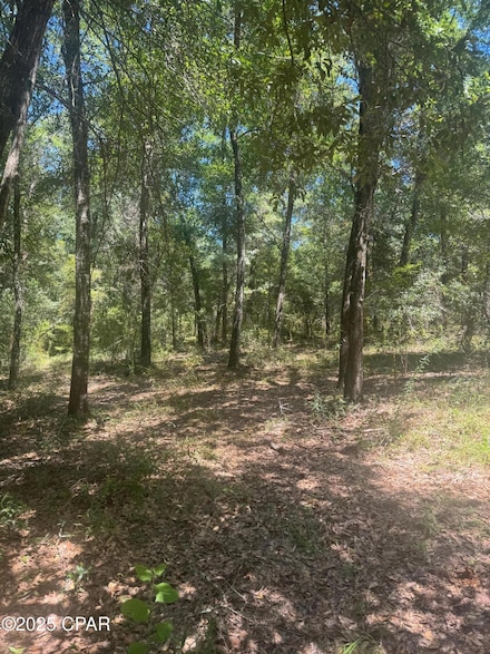 00 Dove Ct, Chipley, FL 32428