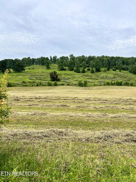 Tract 4 Highway 92, Rutledge, TN 37861