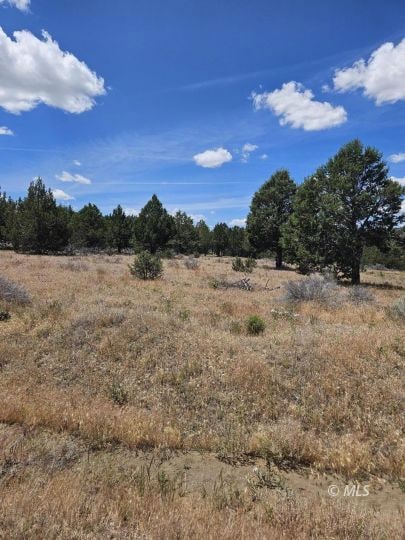 0 Pintail Dr, Alturas, CA 96101