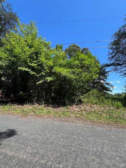 156 Bryant Rd, Madison Heights, VA 24572