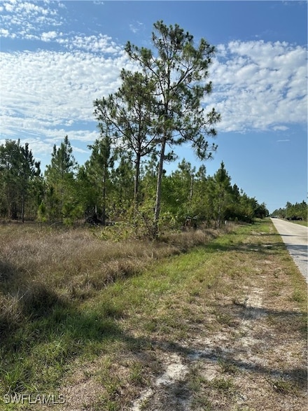 1014 Jackson Ave, Lehigh Acres, FL 33972