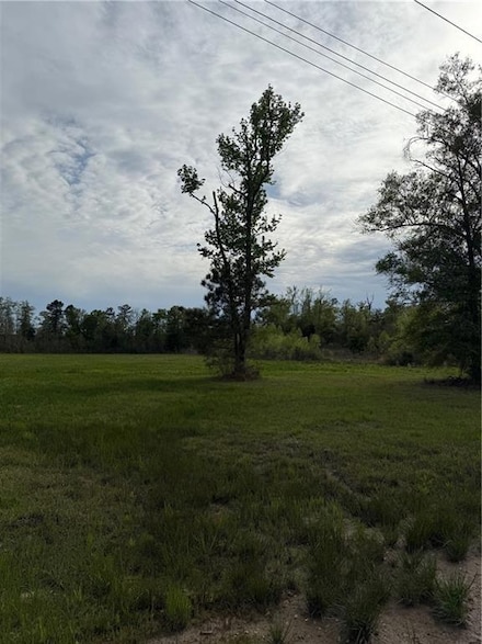 TBD Odra Pritchard Leteff Rd, Independence, LA 70443