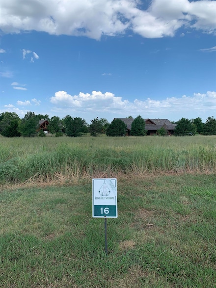 1402 E Bluesage Ct, Andover, KS 67002