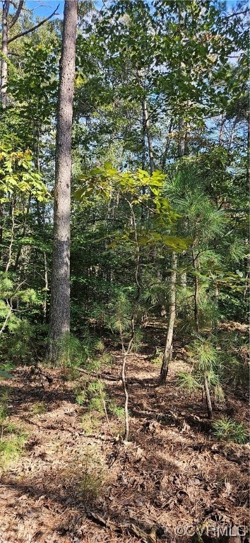 0 Level Green Rd, Saint Stephens Church, VA 23148