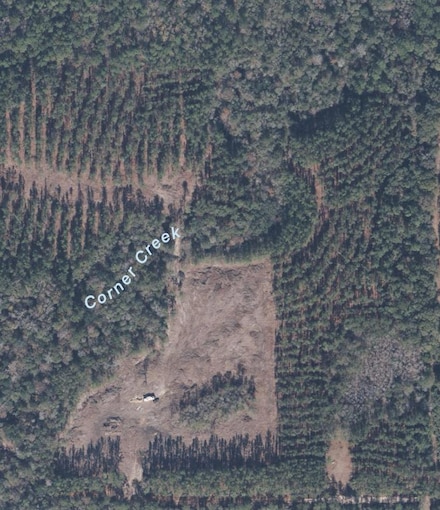 4769 Dykes Davis Rd, Samson, AL 36477