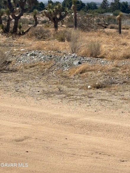 0 E Ave W 4 Unit 25004667, Pearblossom, CA 93553