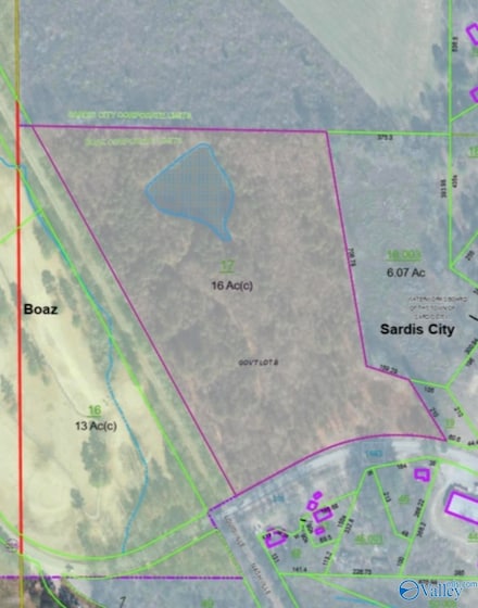 16 acres Alabama 205, Boaz, AL 35956