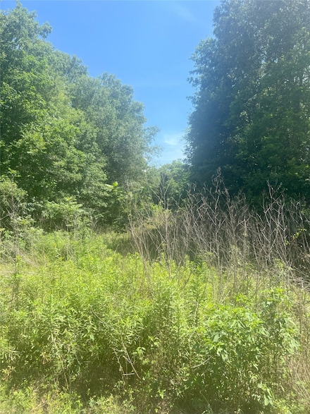 0 White Pinch Ln Unit 2144245, Dayton Lakes, TX 77535