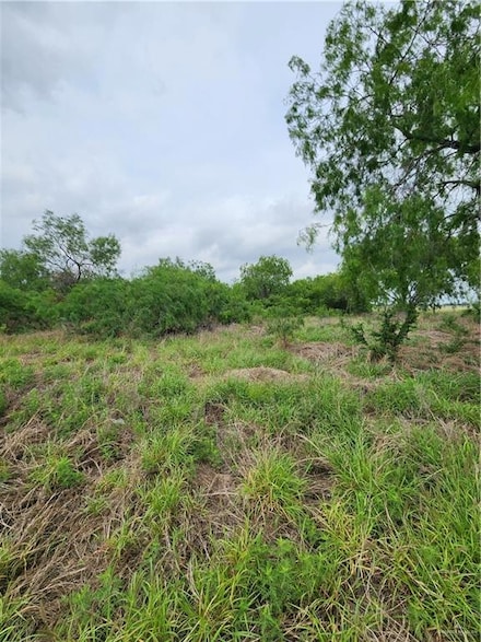 n/a Ranchito St, Edinburg, TX 78542