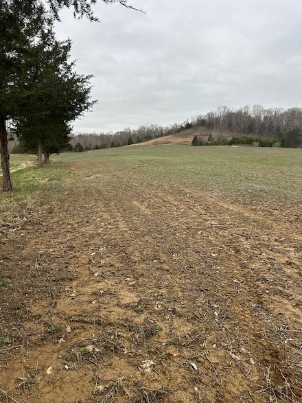 0 Cabin Creek Rd, Trinity, KY 41179