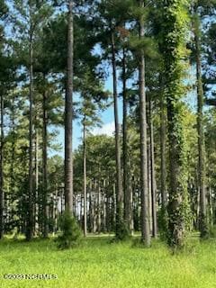 278 Dawson Creek Blvd, Oriental, NC 28571