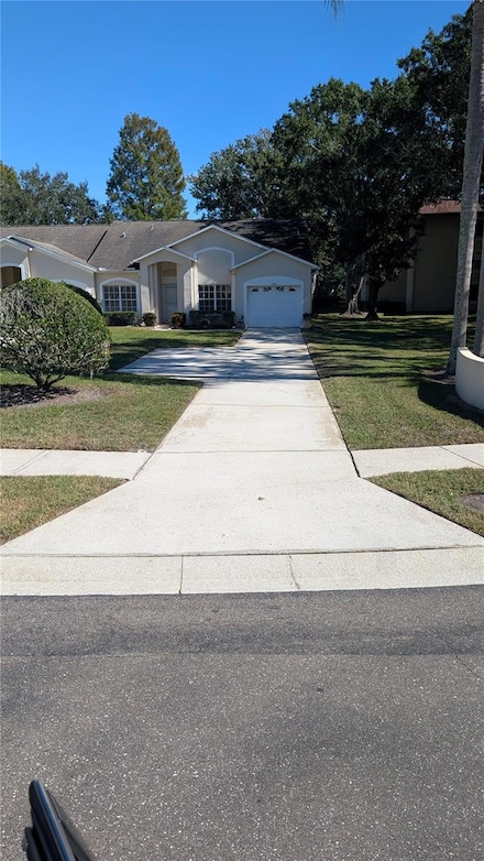 3451 Mermoor Dr, Palm Harbor, FL 34685