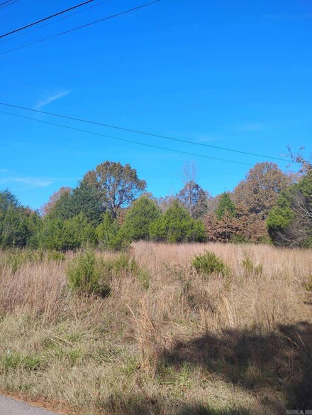 0 Springview, Pocahontas, AR 72455