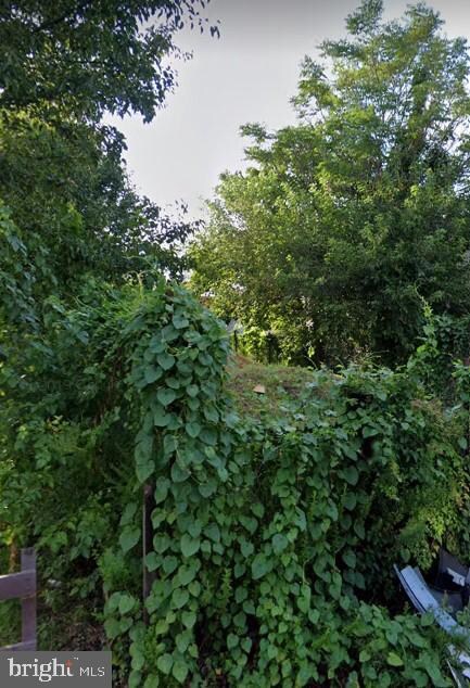2532 N Mutter St, Philadelphia, PA 19133