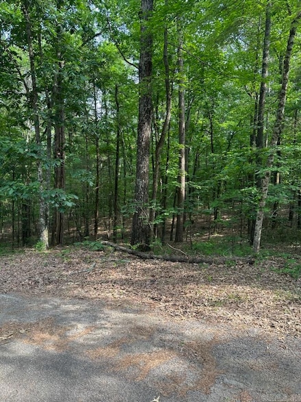 Lot 61 W Cliff Dr, Fairfield Bay, AR 72088