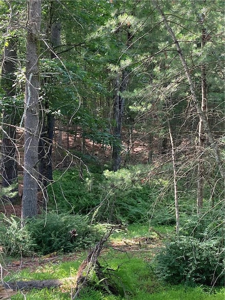 0 Irishtown Rd Unit KEY872480, Tusten, NY 12764