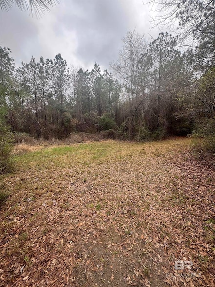 33950 Highway 41, Repton, AL 36475