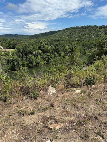 12950 Highway 5, Norfork, AR 72658