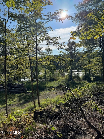 L2 High Rock Rd, Hannacroix, NY 12087