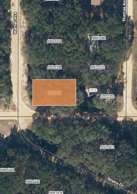 00 Denise St, Interlachen, FL 32148