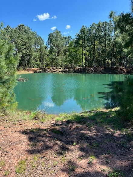 0 Zimmerscheidt Unit 23560905, Columbus, TX 78934