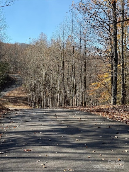 V/L Lot 72 & 170 Black Lark Dr, Marion, NC 28752