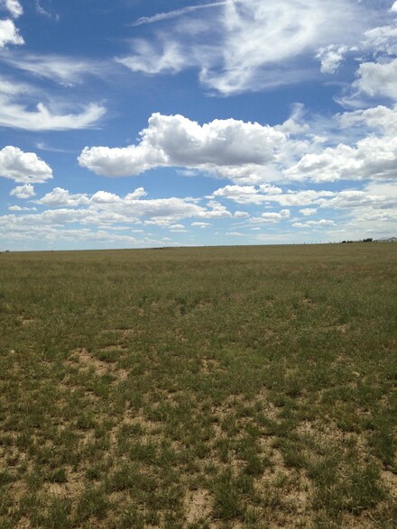 0 Tree Farm Unit 849049, McIntosh, NM 87032
