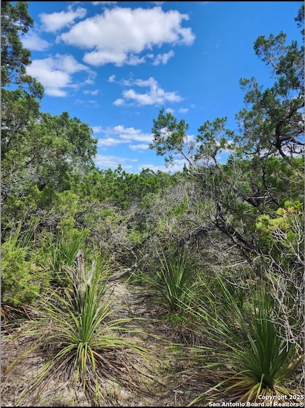 268 Scenic Hills Dr, Canyon Lake, TX 78133