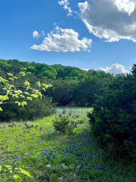208 N Mountain Ridge, Cresson, TX 76035