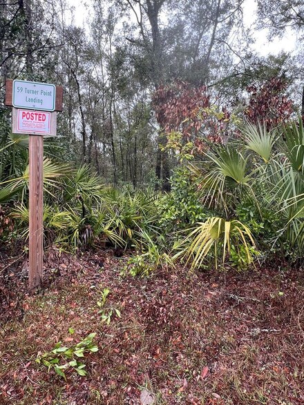 TBD NE 410 Ave, Old Town, FL 32680
