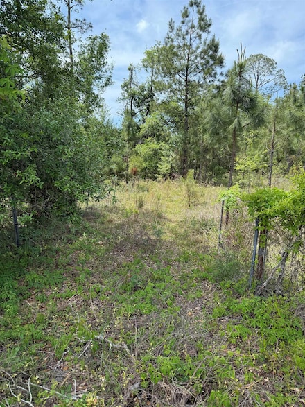 3345 E Us 27 Hwy, Perry, FL 32347
