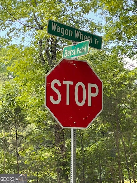 313 Wagon Wheel Trail, Fayetteville, GA 30214