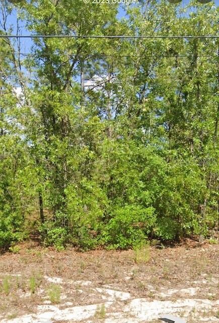 971 W Homeway Loop, Citrus Springs, FL 34434