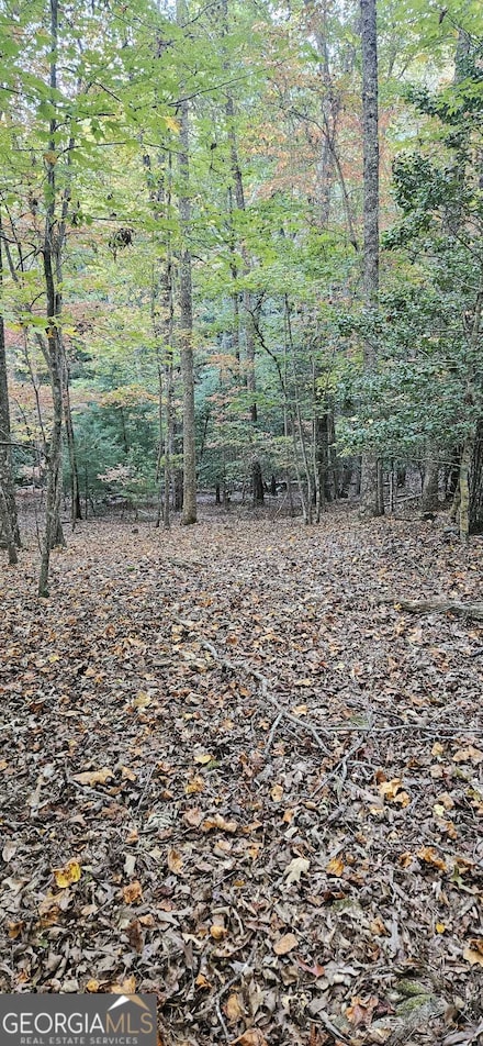 5 Gold Mine Rd Unit LOT 5, Morganton, GA 30560