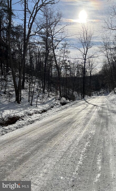 Lot 161 Lee Rd, Basye, VA 22810