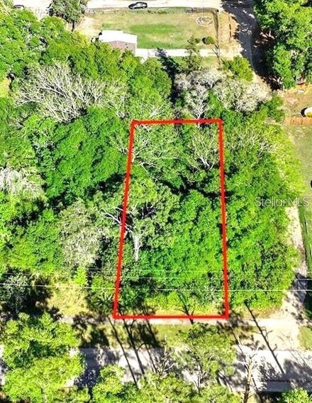44126 Spring Creek Rd, Paisley, FL 32767
