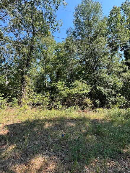 0 Lake Lurleen Rd, Coker, AL 35452