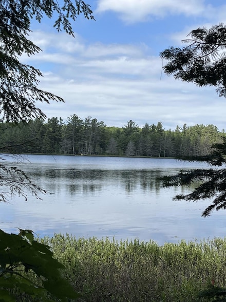 000 Chesbrough Lake Rd, McMillan Township, MI 49868