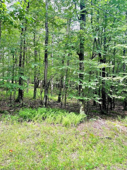 Lot 120 Hemlock Cir, Terra Alta, WV 26764