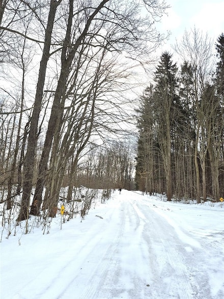 12903 Biscoff Rd, Albion, PA 16401