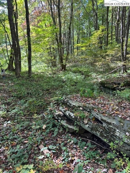 36 Beechwood Cir, Creston, NC 28615